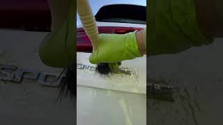 Car wash day green algae removal Mobile Car Valeting Kinsale carwash [upl. by Tupler]