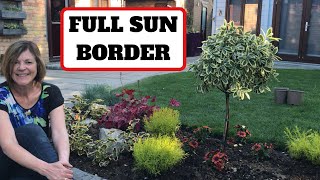 Full Sun Border 🌞 [upl. by Buchalter]