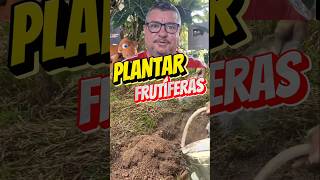 COMO PLANTAR FRUTIFERAS como fazer plantio de frutíferas o calcário é fundamental fruit sitio [upl. by Holden958]