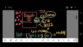 SGLT2 Inhibitors  SGLT2 inhibitors Mechanism Of Action And Side Effects [upl. by Ellered]