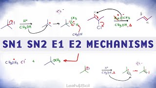 SN1 SN2 E1 E2 Reaction Mechanism Overview [upl. by Anhcar13]