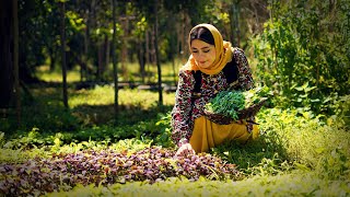 Cooking Ghormeh Sabzi the Most Popular Iranian Stew  Rural Cuisine [upl. by Reisch649]