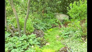 PETIT JARDIN DE PLANTES COMESTIBLES ET DÉCORATIVES RÉALISÉ EN PERMACULTURE [upl. by Lonyer302]