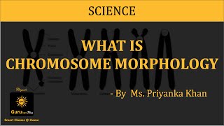 Chromosome Morphology BSc MSc Lecture by Ms Priyanka khan I Guru Kpo [upl. by Syst974]