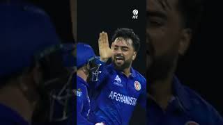 Brilliant and blissful Rashid Khan 🙌 YTShorts CricketShorts [upl. by Waterer]