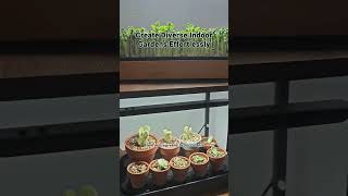 Effortless Indoor Gardens with the Basket Planter Tray [upl. by Angus570]