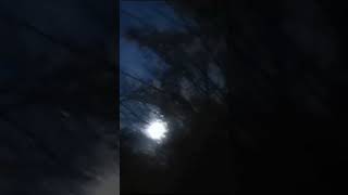 Pełnia księżyca za drzewami 🌕 19102024 [upl. by Ymmot]