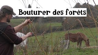 Bouturer des Forêts [upl. by Gnuhn]