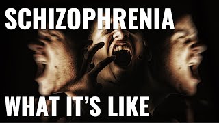 What its like to have schizophrenia [upl. by Karr]