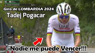 Giro de Lombardia 2024🇮🇹🚀Tadej POGACAR🏆destroza a EVENEPOEL💪🏽Nairo TOP 15✔️Ataque a 48 de META [upl. by Tram]