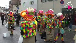 Rosenmontagsumzug 2020 in Böblingen [upl. by Darcey180]