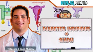 Diabetes Insipidus and SIADH  Clinical Medicine [upl. by Severin]