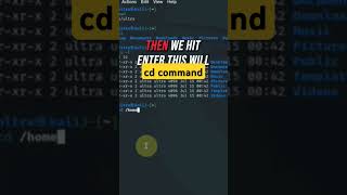 Navigating Kali Linux Mastering the Cd Command [upl. by Haletky]
