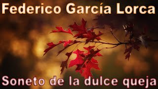 DIRECTO A TU CORAZON  Sonetos del amor oscuro  FEDERICO GARCÍA LORCA  voz FENETÉ [upl. by Suoiluj182]