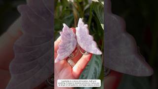 lepidolite butterfly n  crystal file if interested crystaladdict witchtok crystallife [upl. by Buyse]