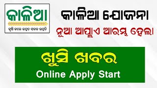 Kalia Yojana New Apply Start  Kalia Yojana New list 2023 Odisha  Kalia Yojana Online Apply [upl. by Eitak]