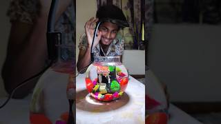 कैसा है👆 Aquarium Fish Bowl Setup 🤯😱shorts fish viralvideo trending aquarium [upl. by Shaffer]