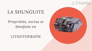 💎 LA SHUNGUITE  PROPRIÉTÉS VERTUS ET BIENFAITS [upl. by Odysseus503]