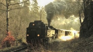 Harzer Schmalspurbahnen März 2012 [upl. by Notlek]