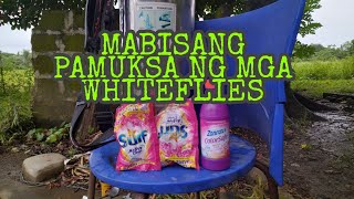 MABISANG PAMATAY PARA SA WHITE Flies SA ATING TALONG [upl. by Tim]