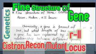 Discussion about Fine Structure of Gene  Recon Cistron Muton R II Locus  Notes by A S Hilal [upl. by Cynthy]