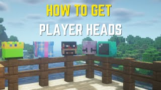 Minecraft How to Get Player Heads and Custom Heads 120 [upl. by Yenffad]