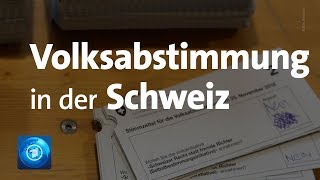 Schweizer lehnen Selbstbestimmungsinitiative ab [upl. by Nagirrek611]