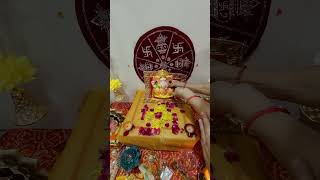 Ganpati ji aye hamare gharminivlogshortsdailyvlog [upl. by Brill]