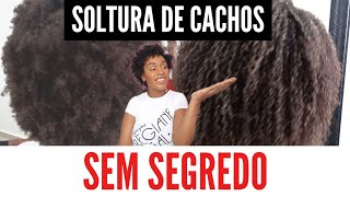 SOLTURA DE CACHOS PROFISSIONAL EM CABELO CRESPO  Tutorial passo a passo [upl. by Eked]