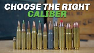 Every AR15 Caliber Explained [upl. by Nho769]