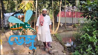 ডেঙ্গু  Dengue Bangla Natok 2024  Pirojpur Adda [upl. by Ahseyd]