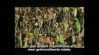 Agroforestry  landbouw met toekomst [upl. by Aivilo]