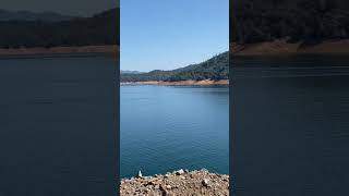 Shasta Dam  Shasta Lake mountshasta shastacounty california travel [upl. by Angelis]