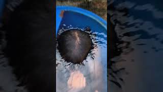 Angana mein swimming cool 😎 funny swimming shorts trending video short [upl. by Bean859]