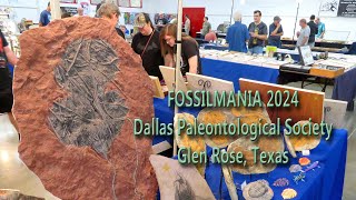 FOSSILMANIA 2024 Dallas Paleontological Society Glen Rose Texas [upl. by Aber]