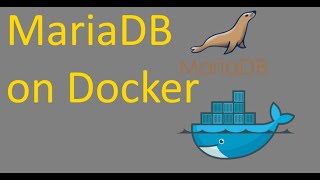 How to run Mariadb in Docker and Connect Remotely [upl. by Torie]