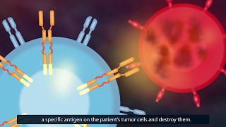 CAR TCell Therapy How Does It Work [upl. by Oileve]