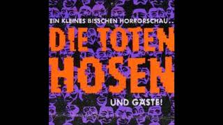 Die Toten Hosen  Live in Zürich am 2131989 [upl. by Nashom501]