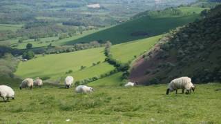 Mynydd Epynt Mountain Powys Wales Photography [upl. by Doti567]