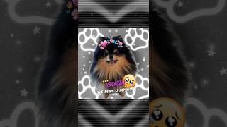 Our son yeontan is passed away 🤧 singam petra pillai endru oore sollum oosaiyodu 😩💜✨bts btsv [upl. by Anrol]