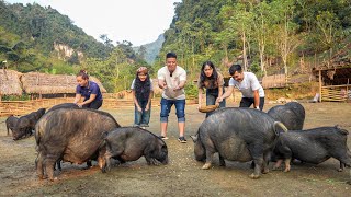 Worlds First Discovery Vlog To Visit Ly Thi Ca Farm amp Residence [upl. by Noteek]