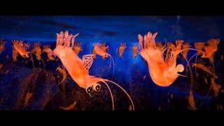 Happy Feet Two  Under Pressure Scene HD [upl. by Ware]