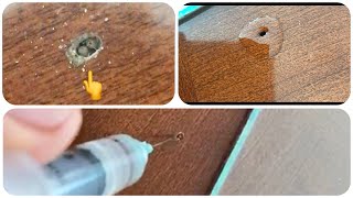 ELIMINAR POLILLA DE MADERA  REMOVE WOOD MOTH [upl. by Carny]