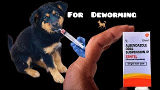 ALBENDAZOLE ORAL SUSPENSION IP ZENTAL  for deworming puppy 2month [upl. by Parthena]