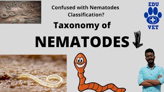 Phylum Nematoda Basics Veterinary Parasitology [upl. by Solotsopa]