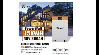 LifePo4 Battery Pack  48V 15KWh 300Ah [upl. by Ahsilahk]