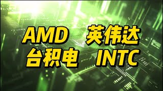 半导体板块深度解析：AMD、英伟达、台积电最新动态与投资策略 美股 amd nvda 英伟达 台积电 [upl. by Brig792]