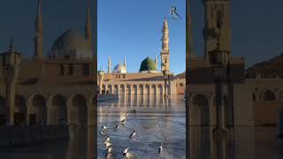 Seyyed abdul wasi qadri razvi naat shorts new viralvideo [upl. by Celestina468]