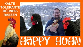 E124 Kältetolerante Hühnerrassen im Winter HAPPY HUHN  robuste abgehärtete Hühner für die Kälte [upl. by Jonna]