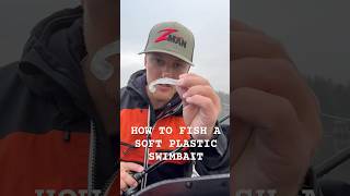 How To Fish A Soft Plastic Swimbait [upl. by Aliber586]